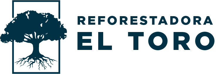 Reforestadora Toro