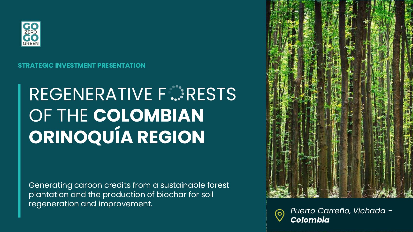 Regenerative forests of the Orinoquía