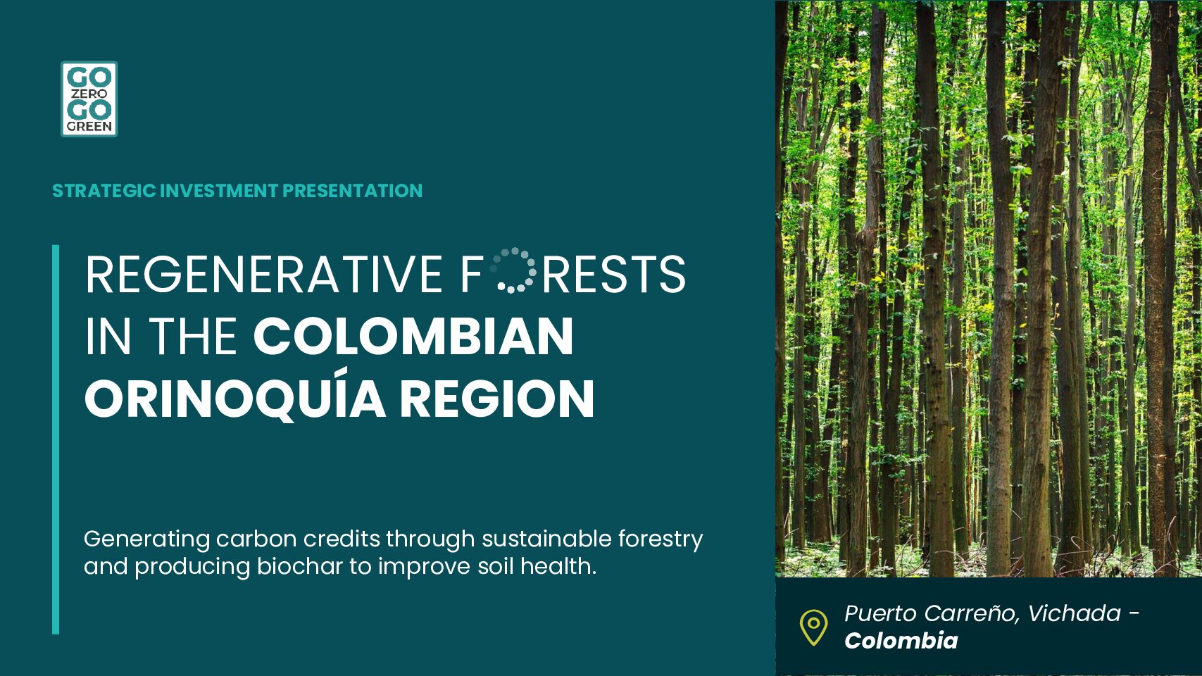 Regenerative forests of the Orinoquía