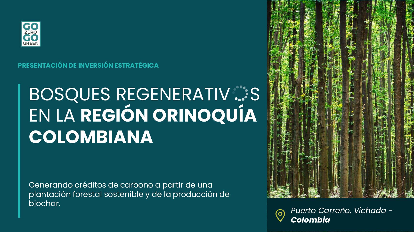 Go Zero Go Green Presentación Estretégica de Inversión